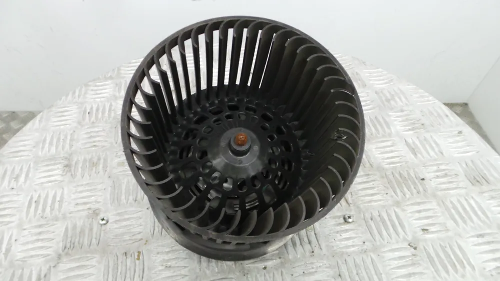 Motor da Chauffage / Sofagem
