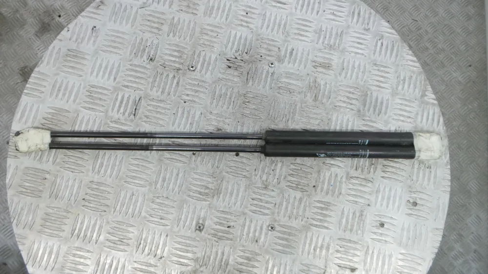Gasfeder Kofferraum