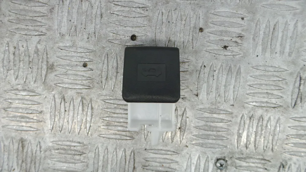 Puxador Interior Capot