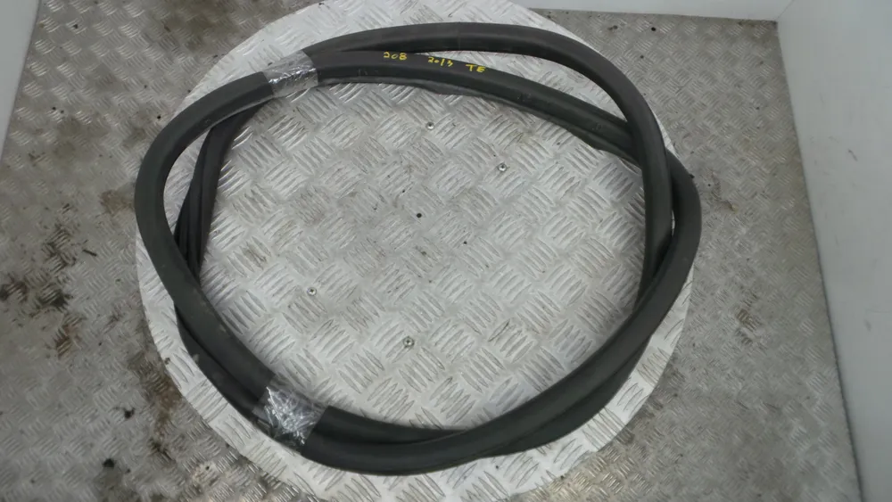 Borracha Porta Tras Esquerda