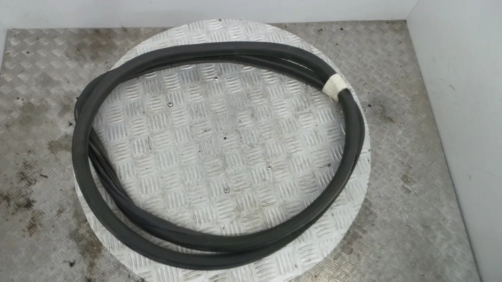 Borracha Porta Tras Esquerda