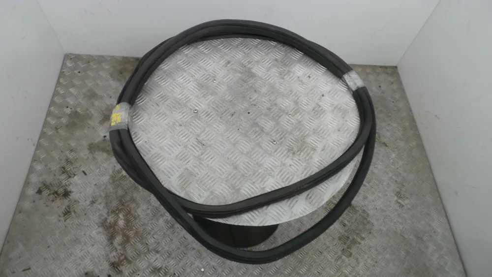 Borracha Porta Direita