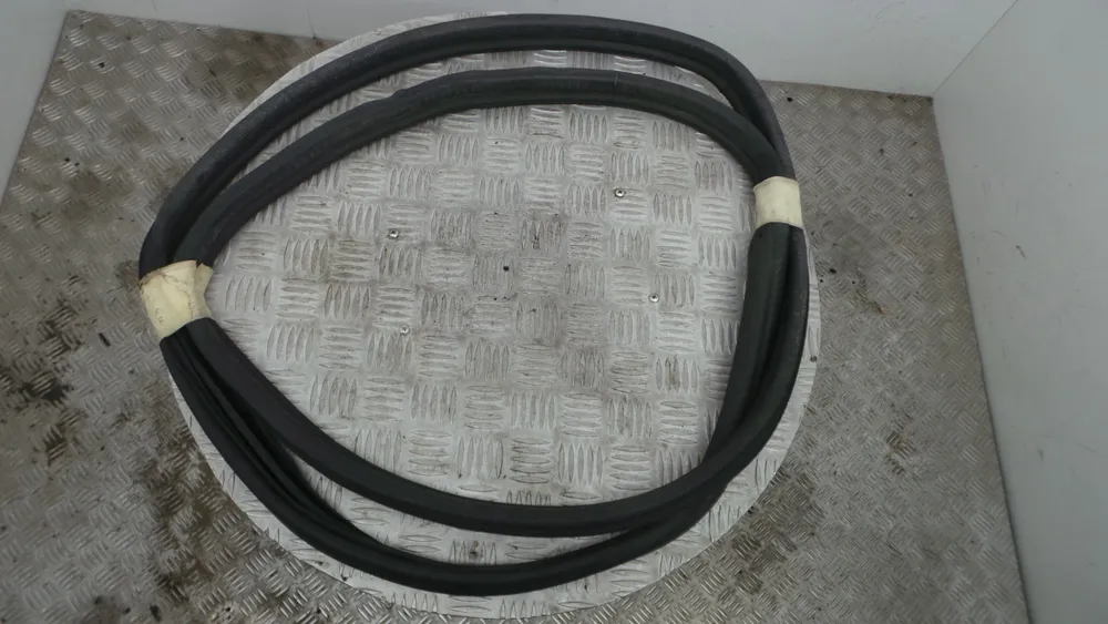 Borracha Porta Tras Direita