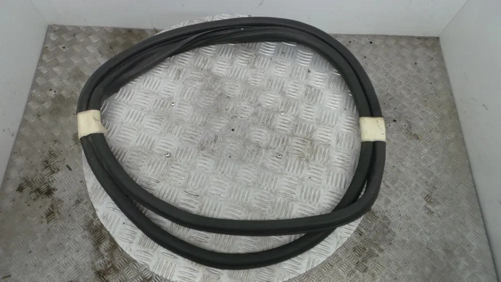 Borracha Porta Tras Esquerda