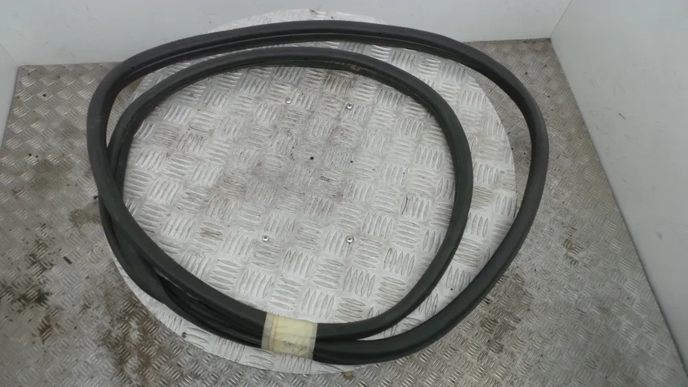 Borracha Porta Tras Esquerda
