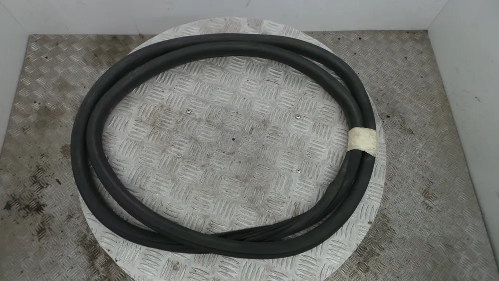 Borracha Porta Tras Esquerda