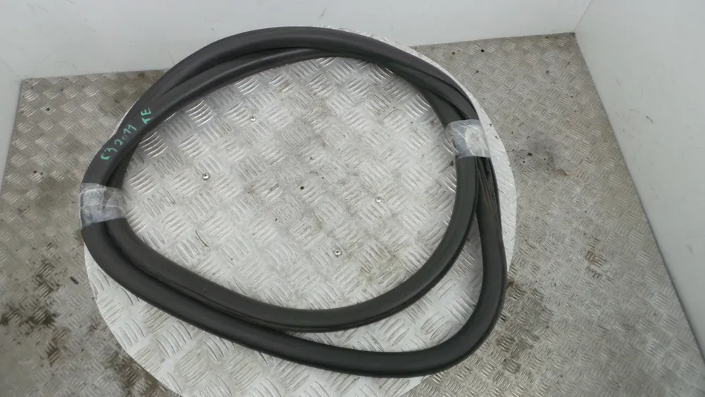 Borracha Porta Tras Esquerda