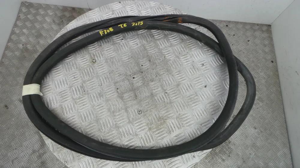 Borracha Porta Tras Esquerda