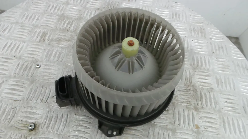 Motor da Chauffage / Sofagem