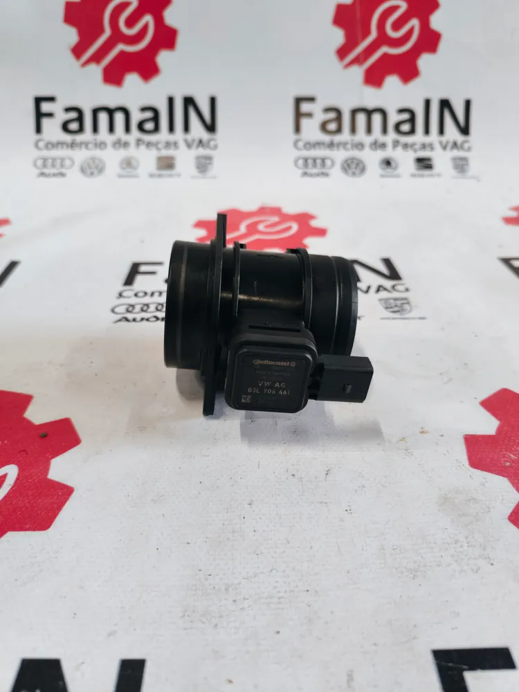 Mass Air Flow Sensor (MAF)