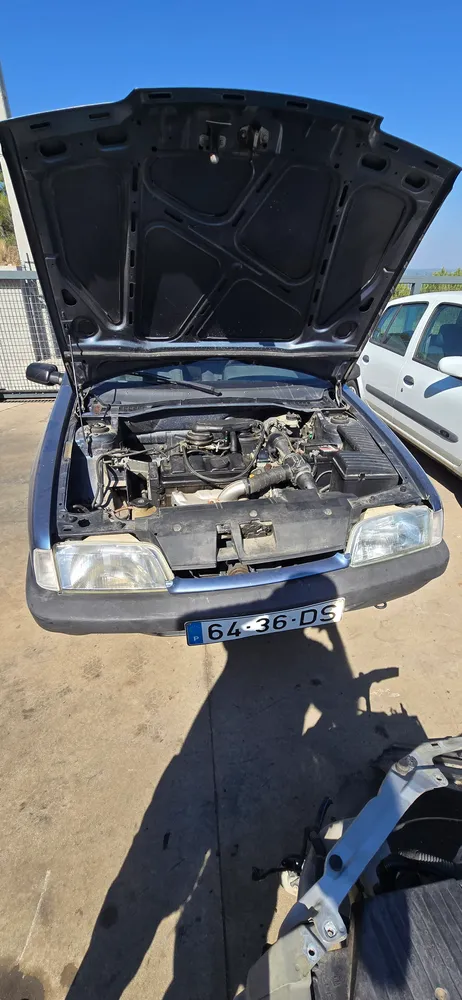 CITROËN ZX