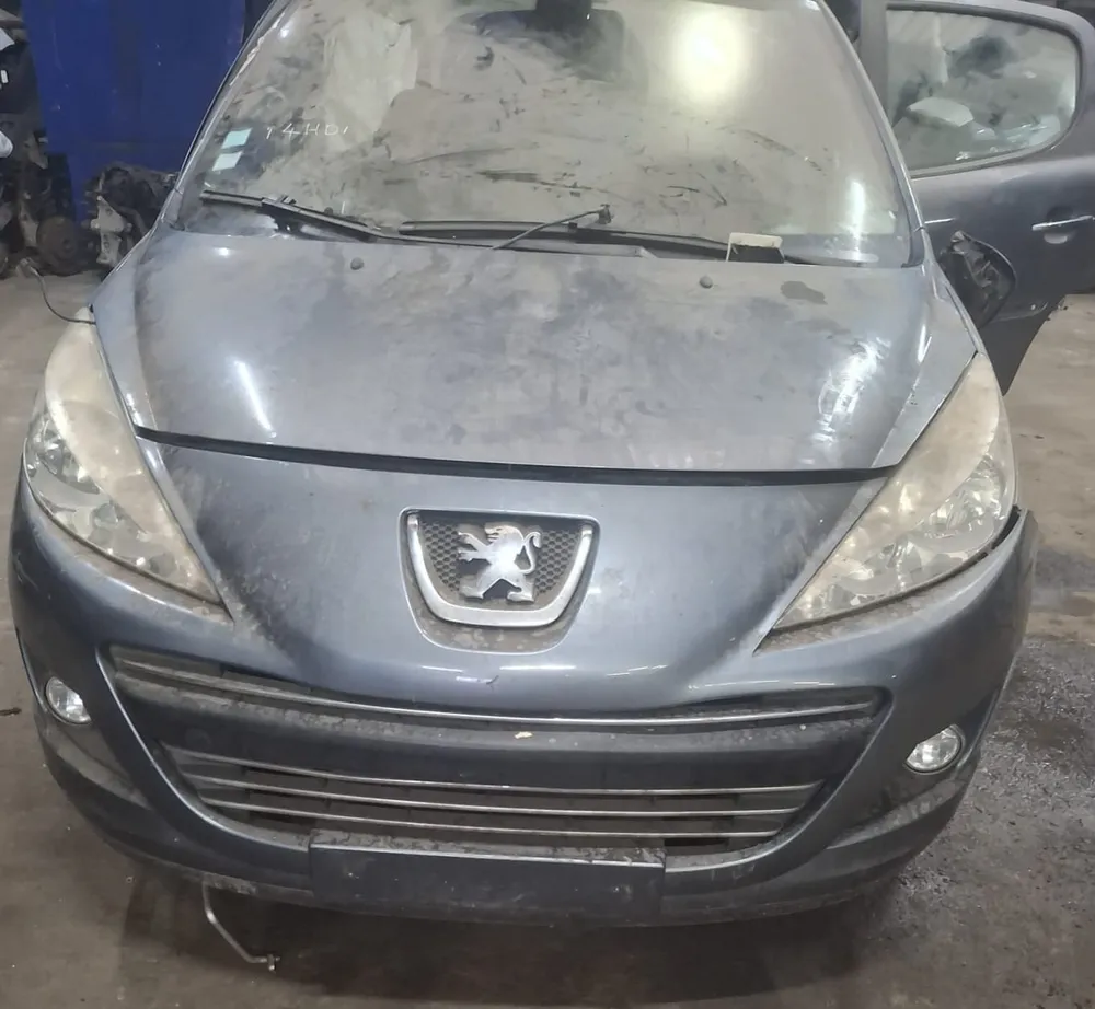PEUGEOT 207/207+