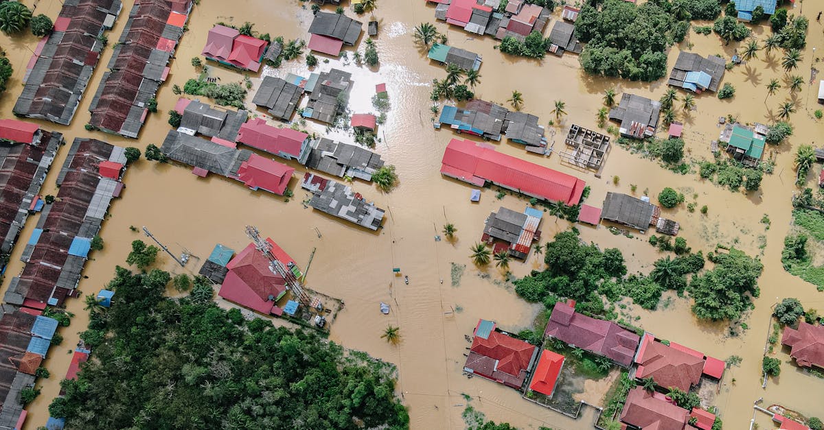 Water Damage Restoration Lexington KY