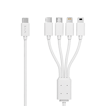 DC71-4-in-1 Data & Charging Cable 0.35m