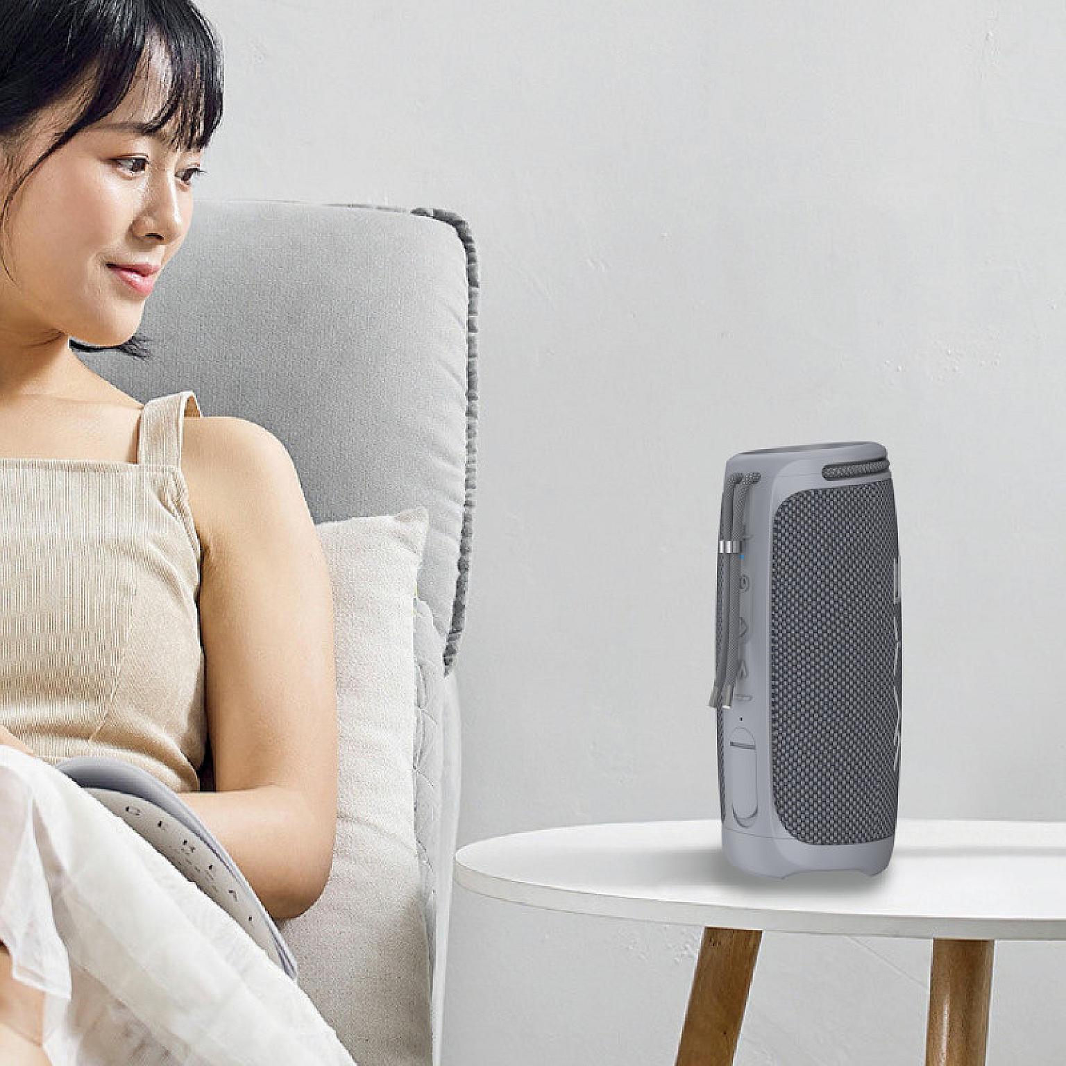 20W ProSound Wireless Speaker