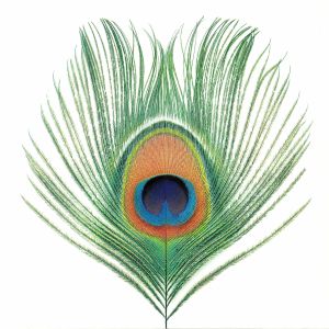 XTC — Apple Venus Vol 1 (reissue)