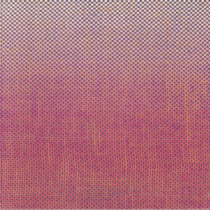 AKINMUSIRE, Ambrose/MARY HALVORSON — Slo Mo Neon Luminate Hoverings