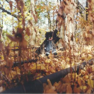 WOODS, Billy — Golliwog