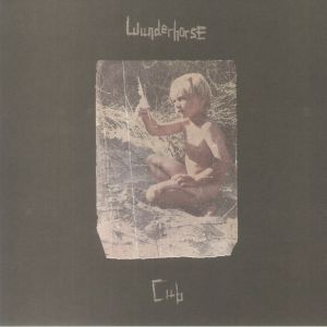 WUNDERHORSE — Cub