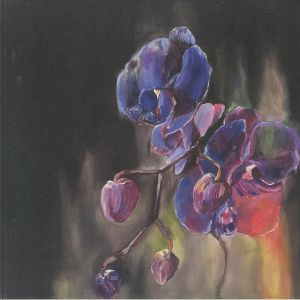 WHY BONNIE — Wish On The Bone