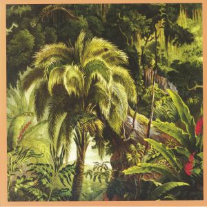 XIU XIU — La Foret