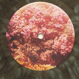 YEASAYER — FRAGRANT WORLD B/W NO BONES