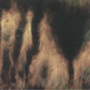 WILLIAM BASINSKI — LAMENTATIONS