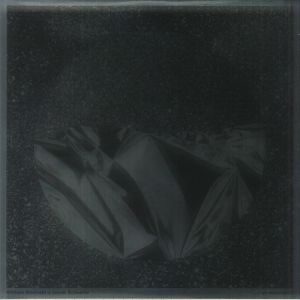 WILLIAM BASINSKI & JANEK SCHAEFER — . . . ON REFLECTION