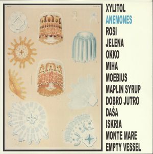 XYLITOL — Anemones