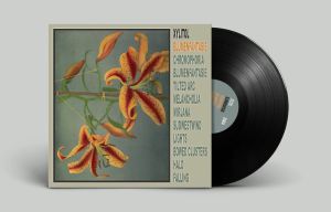 XYLITOL — Blumenfantasie