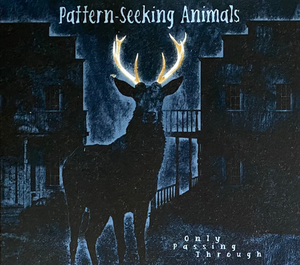 Pattern-Seeking Animals — Only Passing Through