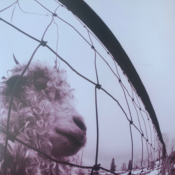 Pearl Jam — Vs. (30th Anniversary Edition)