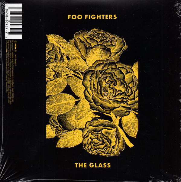H.E.R. & Foo Fighters — The Glass