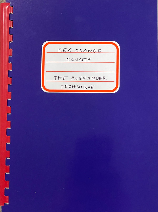 Rex Orange County — The Alexander Technique