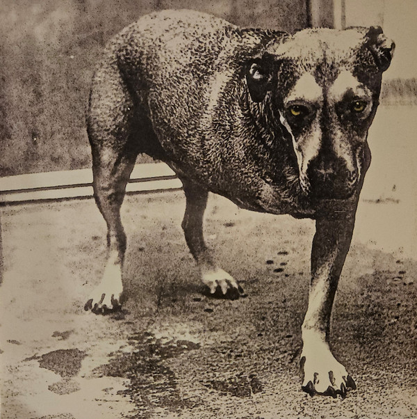 Alice In Chains — Alice In Chains