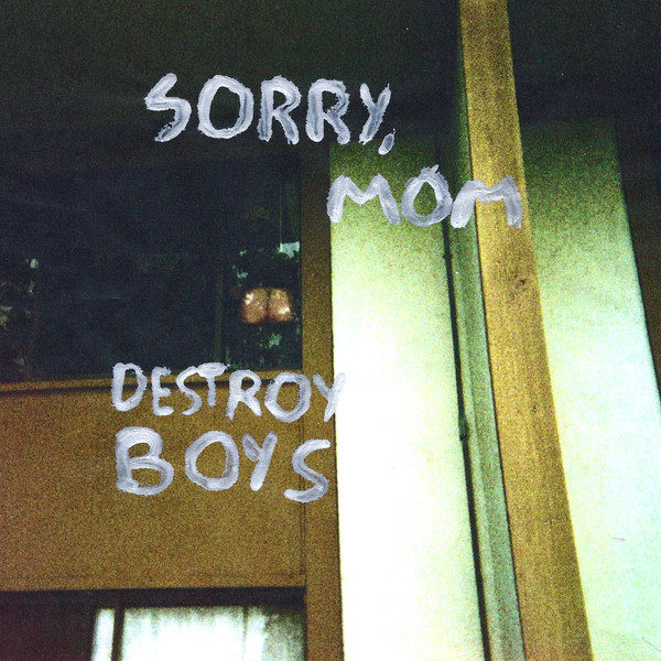 DESTROY BOYS — SORRY  MOM