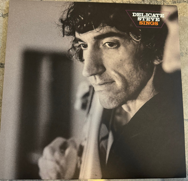 DELICATE STEVE — DELICATE STEVE SINGS