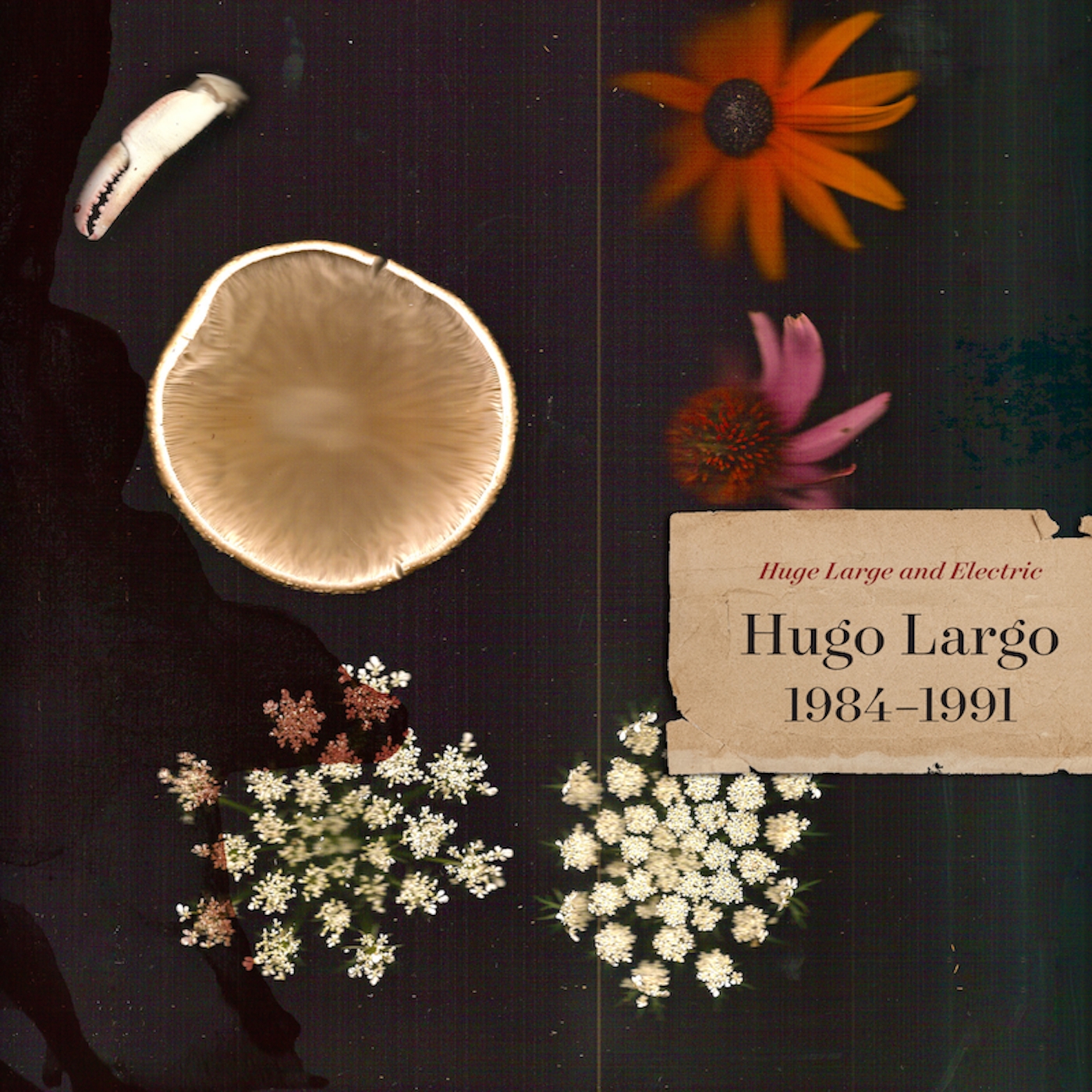 HUGO LARGO — HUGE LARGE AND ELECTRIC HUGO