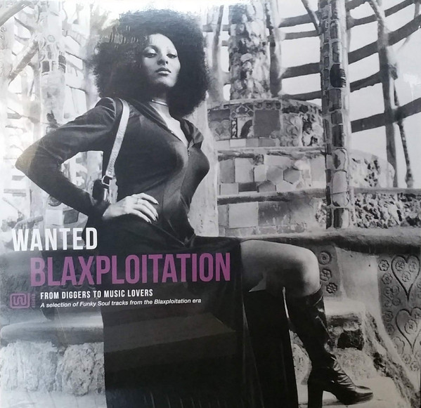 VARIOUS ARTISTS — WANTED - BLAXPLOITATION - FROM DIGGERS TO MUSI