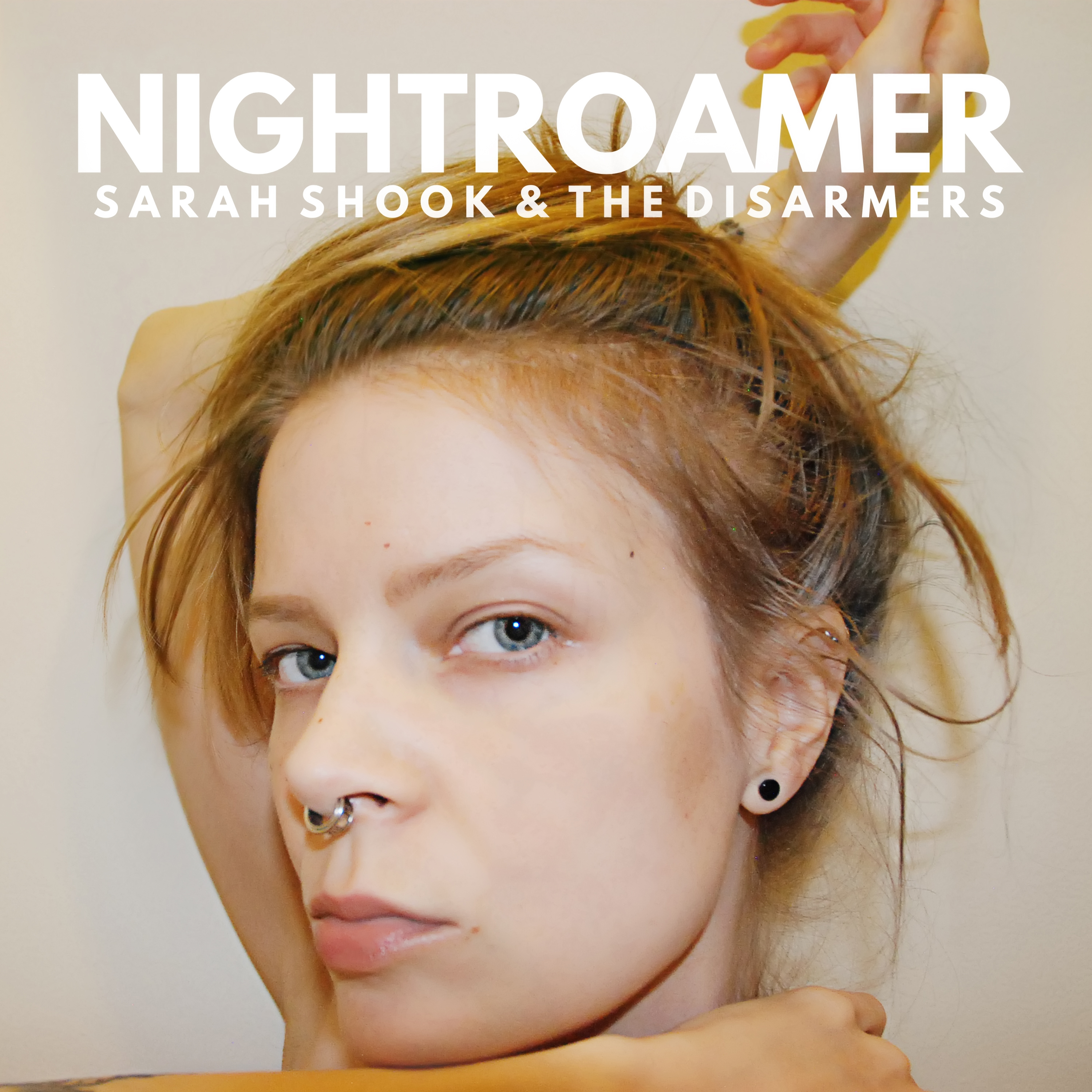 SARAH SHOOK & THE DISARMERS — NIGHTROAMER