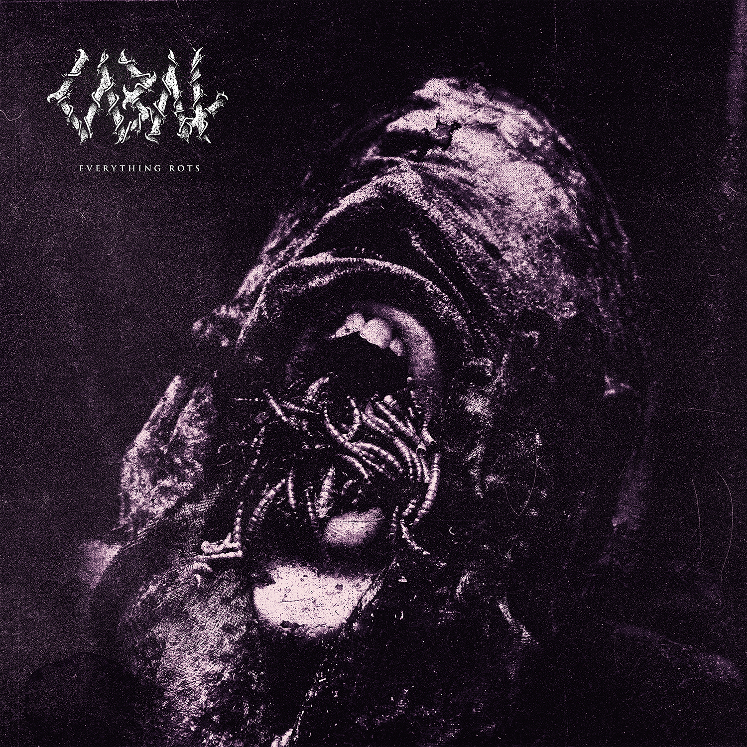 CABAL — Everything Rots