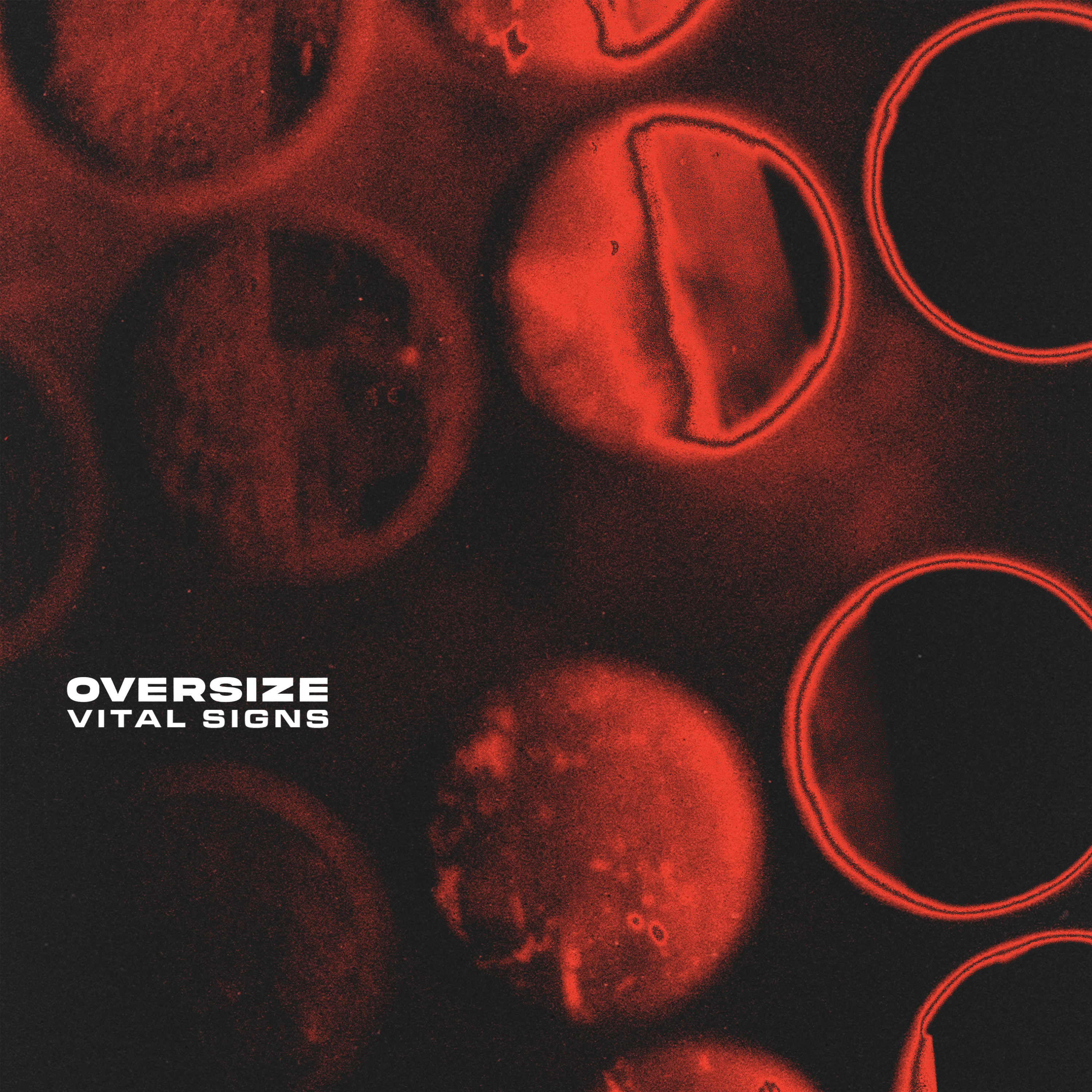 Oversize — Vital Signs