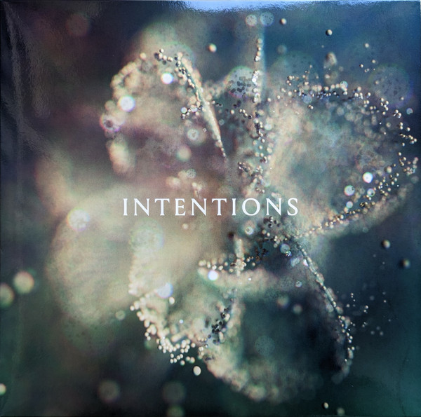 ANNA — Intentions