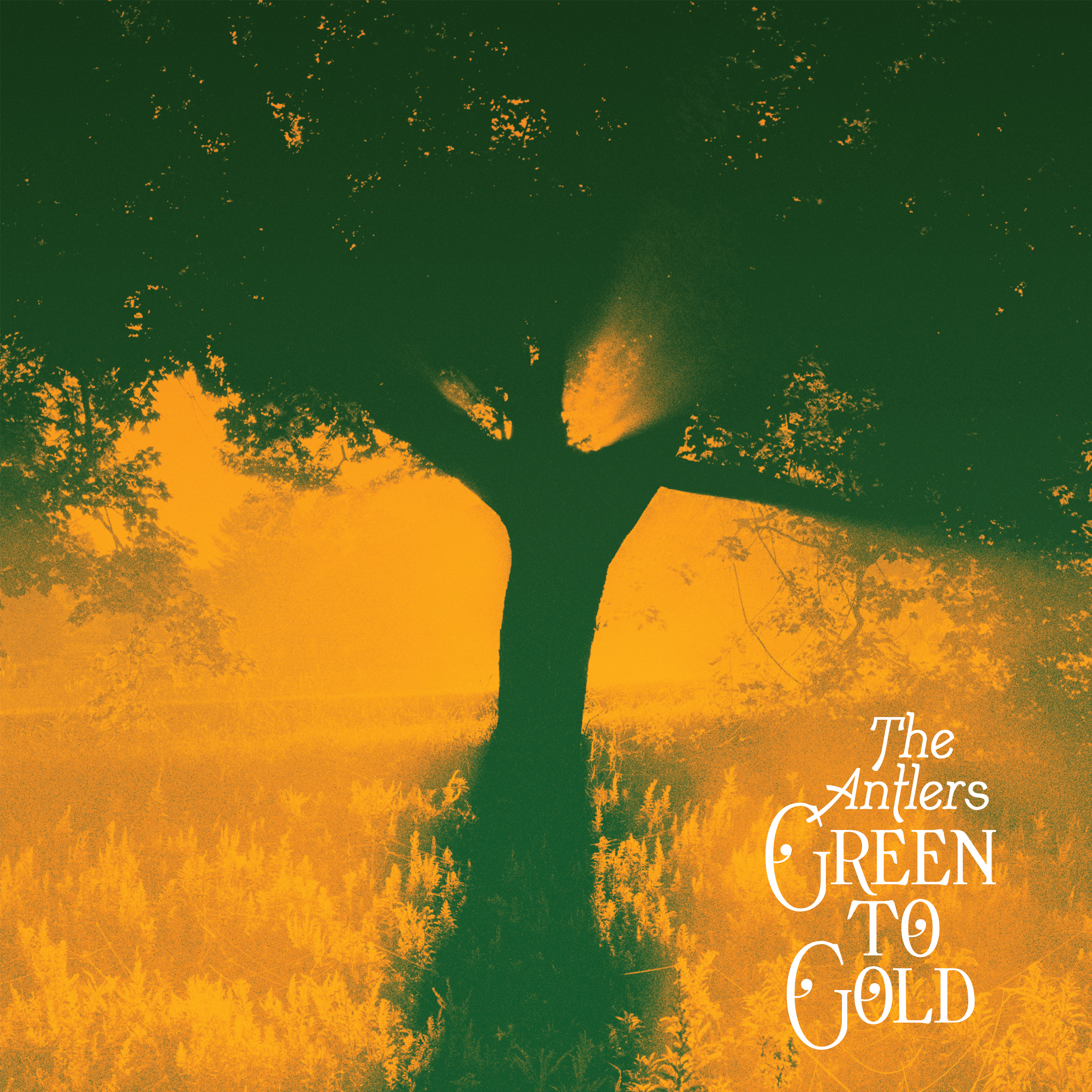 ANTLERS — Green To Gold