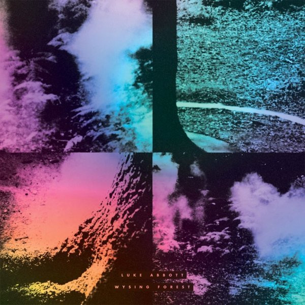 LUKE ABBOTT — WYSING FOREST