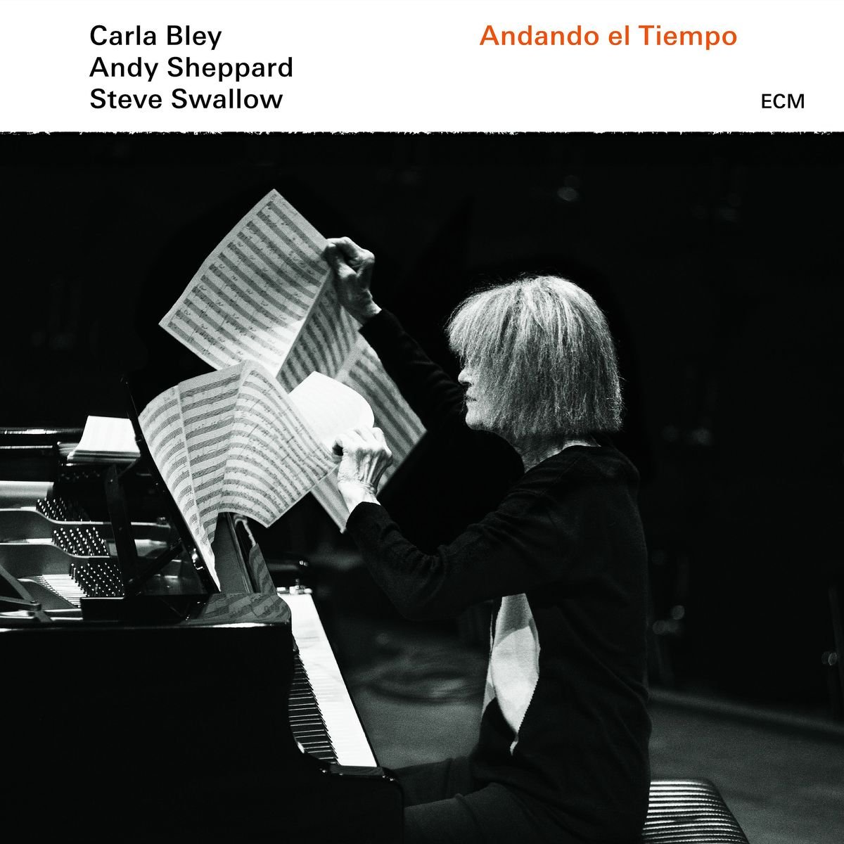 CARLA BLEY  ANDY SHEPPARD  STE — ANDANDO EL TIEMPO