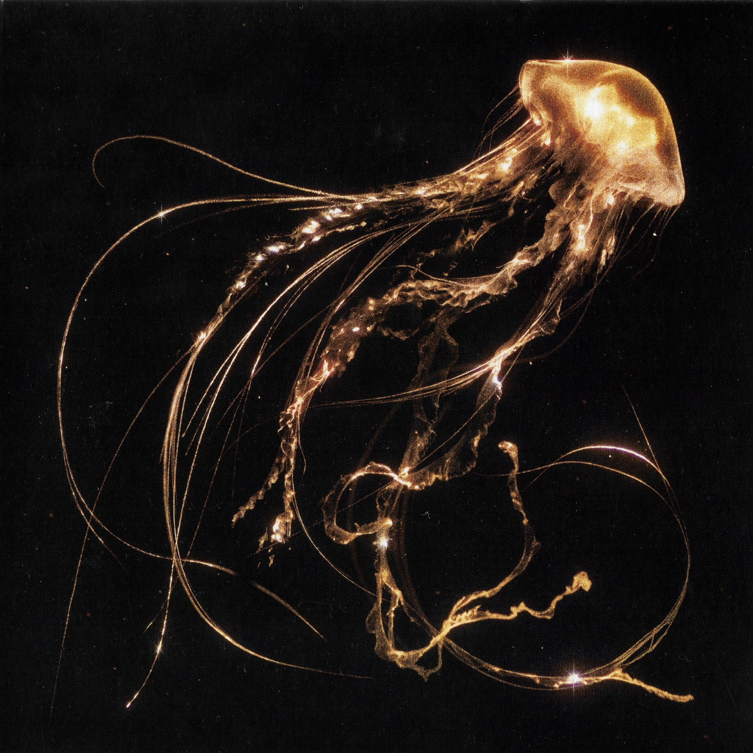 Royal Blood — Back To The Water Below