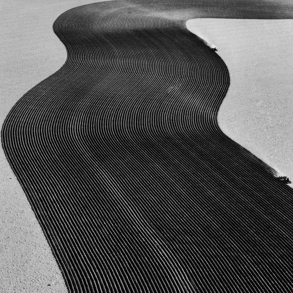 RAINER VEIL — Vanity