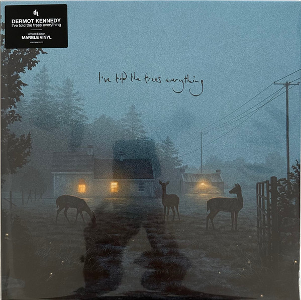 Dermot Kennedy — I've told the trees everything