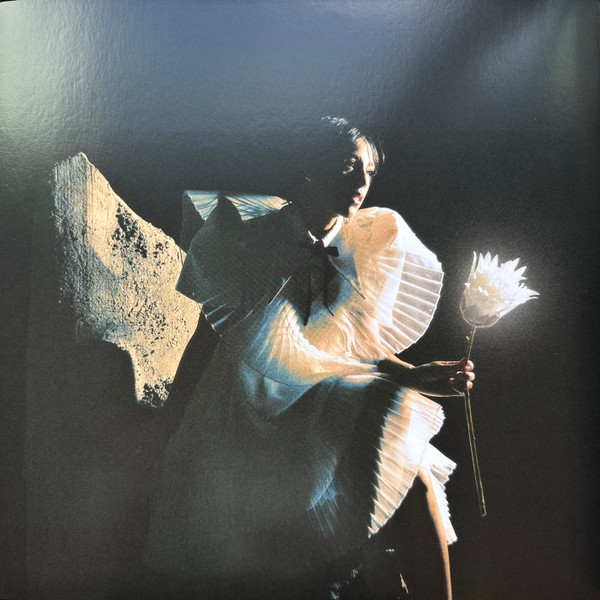 Telenova — Time Is A Flower